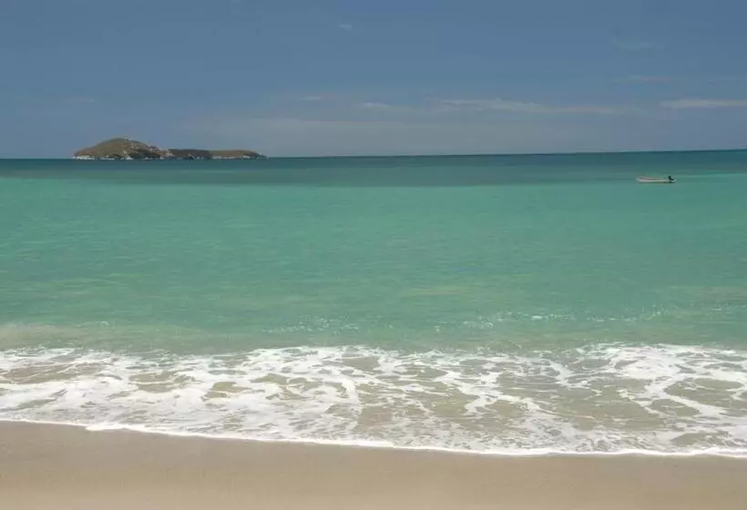 Togo B&b Farallon