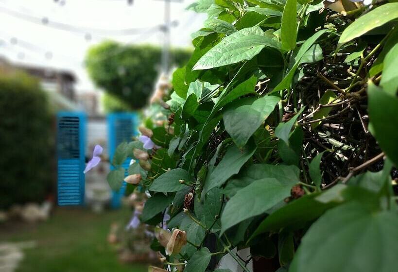 Via Emilia Bed And Breakfast Restaurante