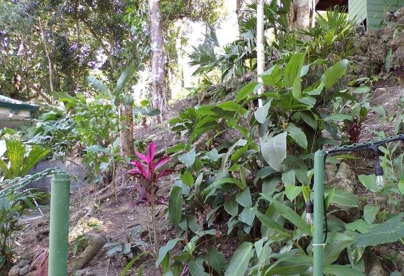 Mycasa's Bed And Breakfast