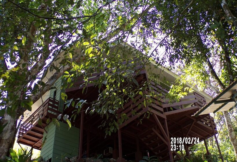 Mycasa's Bed And Breakfast