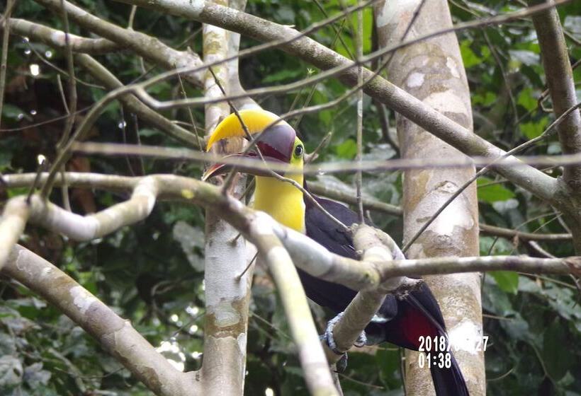 Mycasa's Bed And Breakfast