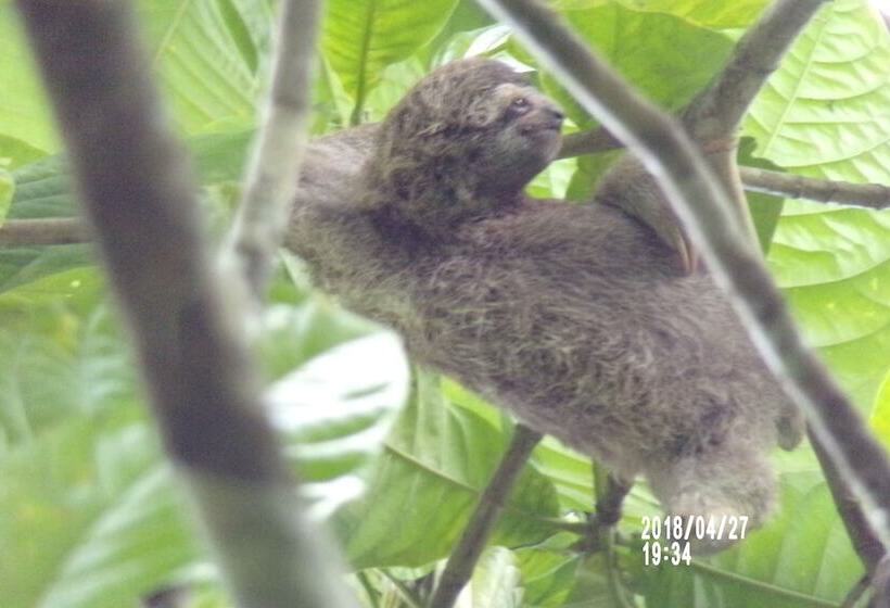 Mycasa's Bed And Breakfast