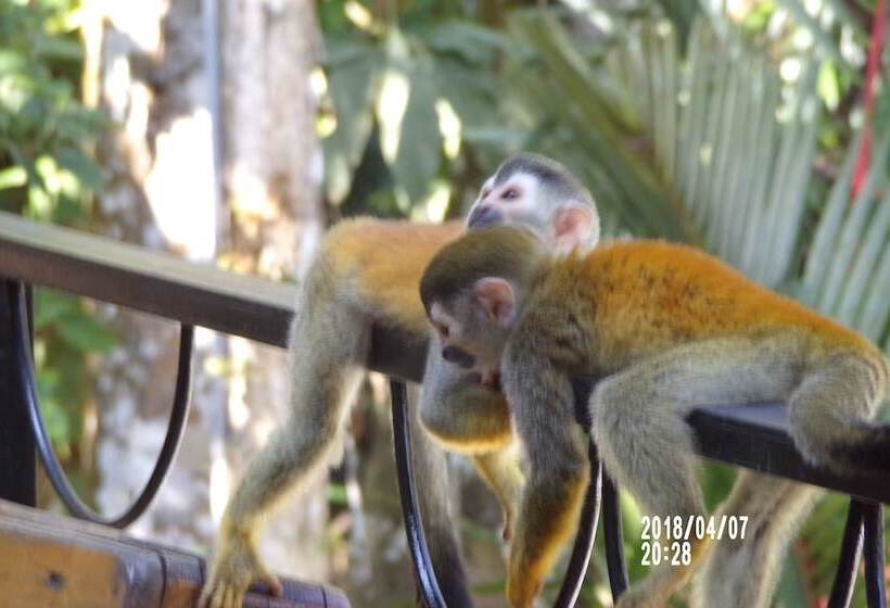 Mycasa's Bed And Breakfast