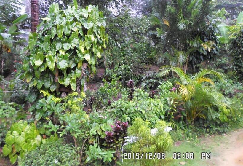 تختخواب و صبحانه Peters Inn