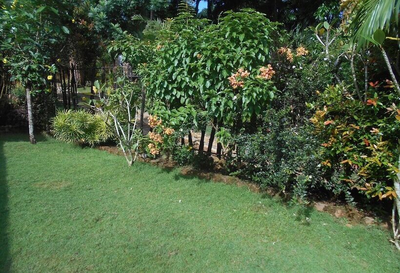 ベッドアンドブレックファースト Sapphire Holiday Resort