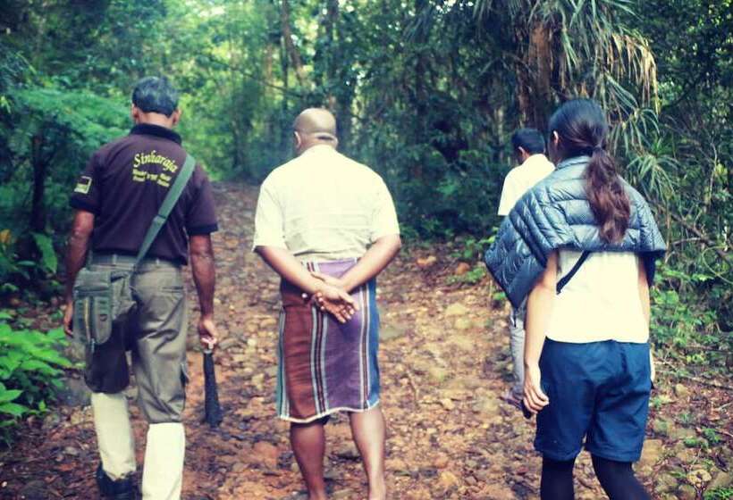 ベッドアンドブレックファースト Sapphire Holiday Resort