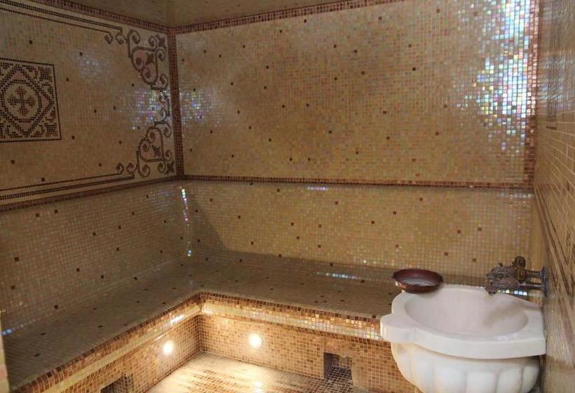 호텔 Kleopatra Vip