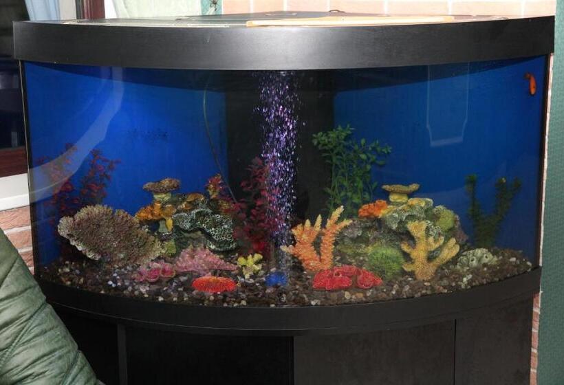 호텔 Kleopatra Vip