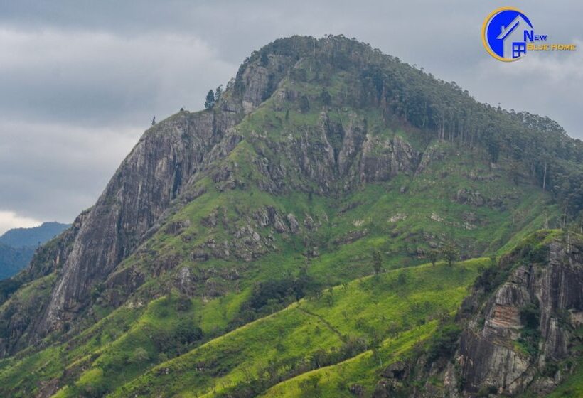 فندق New Blue Home