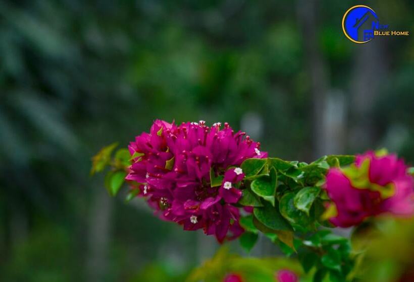 فندق New Blue Home