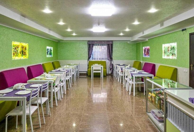 בית מלון כפרי Solomiya