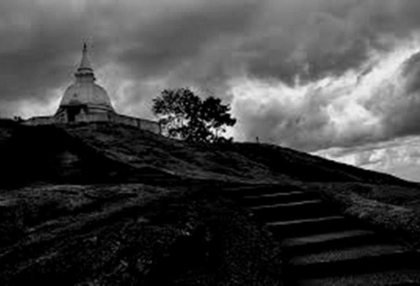 בית מלון כפרי Vintop