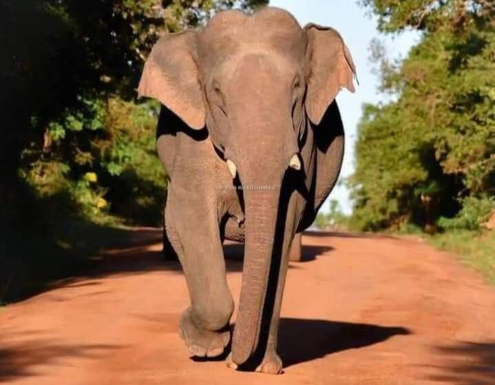 בית מלון כפרי Vintop