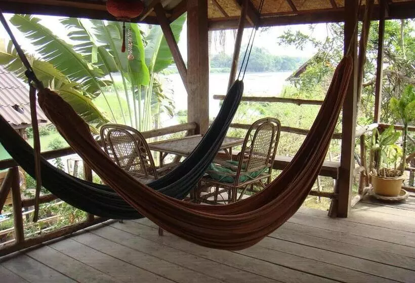 Majatalo Crazy Gecko Dondet