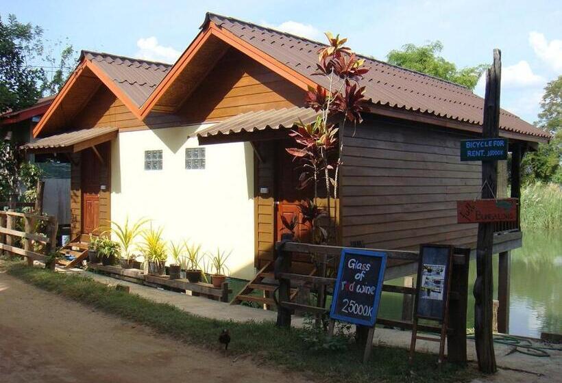 پانسیون Crazy Gecko Dondet