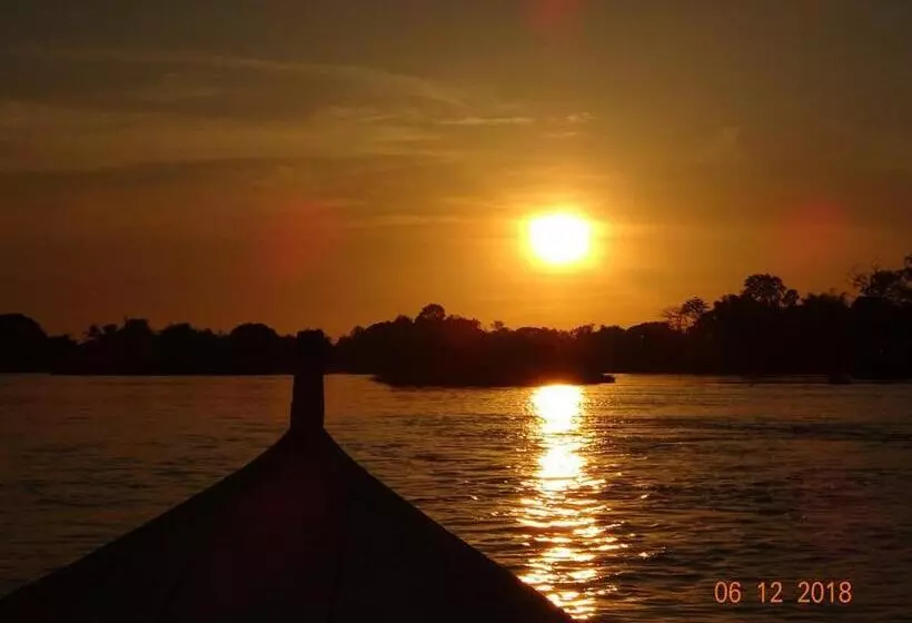 Majatalo Crazy Gecko Dondet