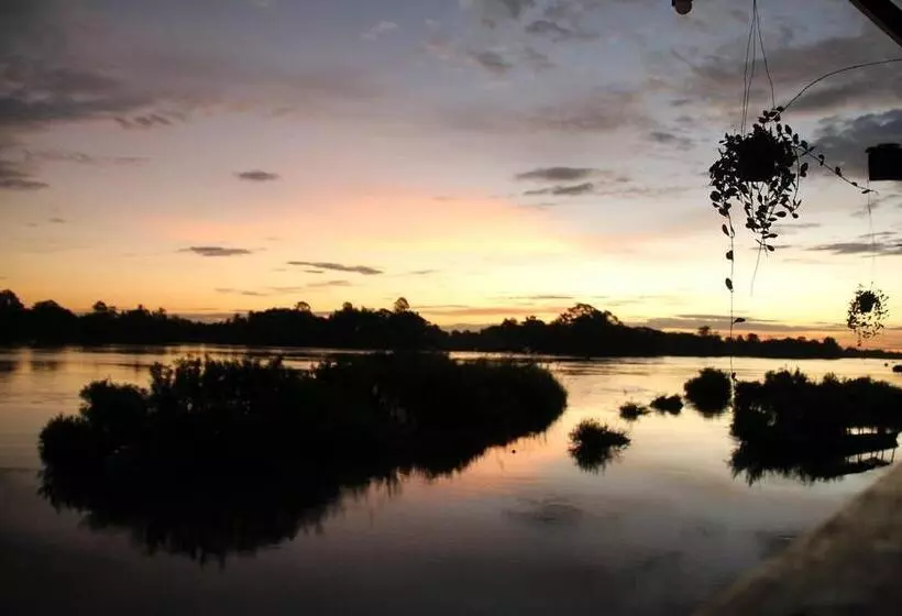 Majatalo Crazy Gecko Dondet