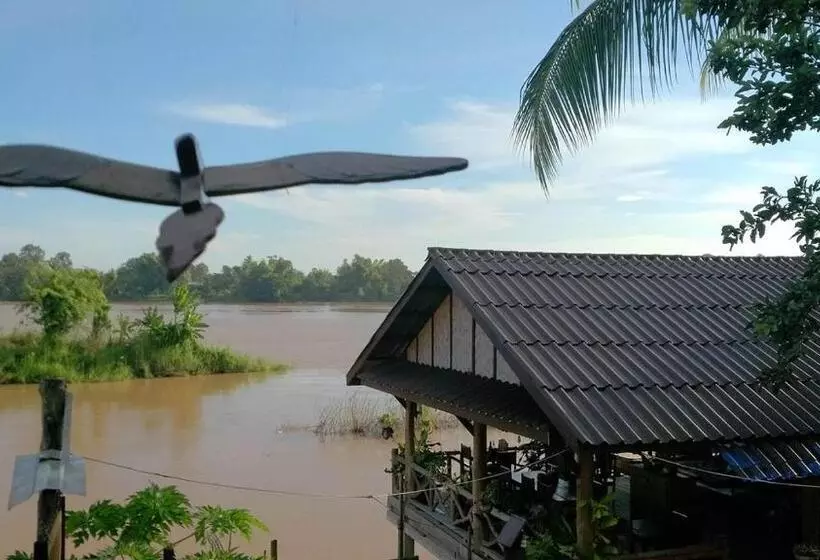 Majatalo Crazy Gecko Dondet