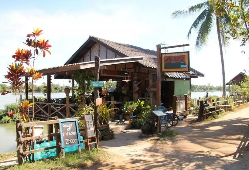 Majatalo Crazy Gecko Dondet