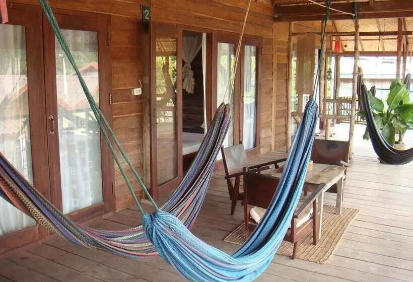 Majatalo Crazy Gecko Dondet