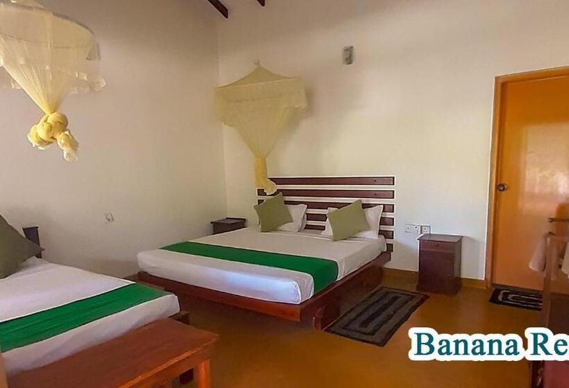 Bed and Breakfast Banana Rest Sigiriya