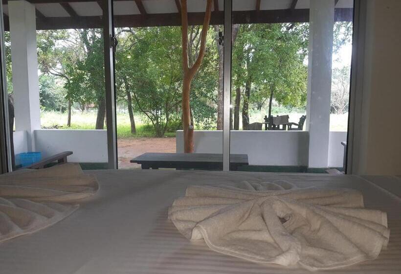 Bed and Breakfast Banana Rest Sigiriya