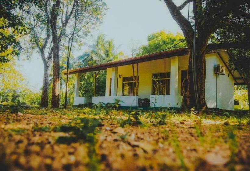 Bed and Breakfast Banana Rest Sigiriya
