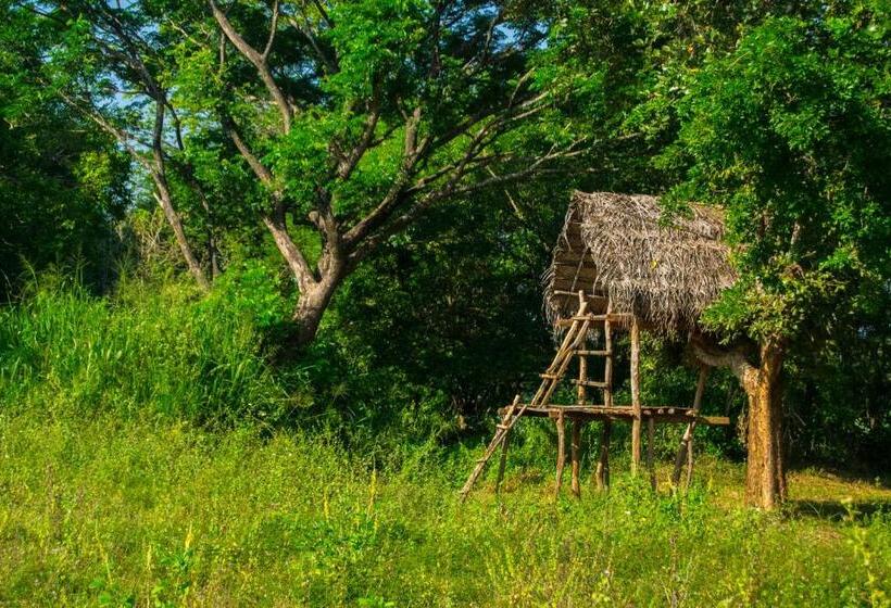 Bed and Breakfast Banana Rest Sigiriya