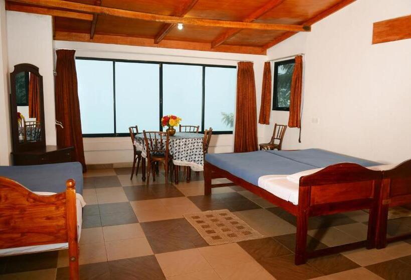 Bed & Breakfast Ella Gap Panorama