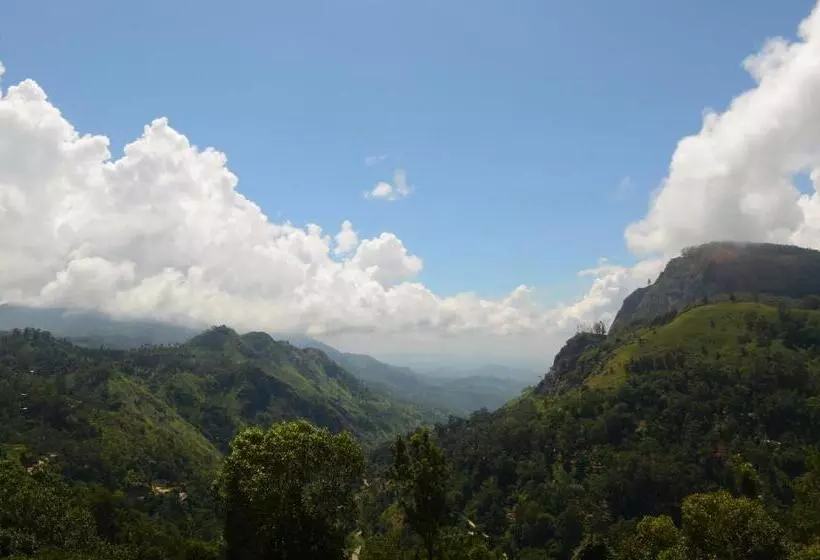 Bed & Breakfast Ella Gap Panorama