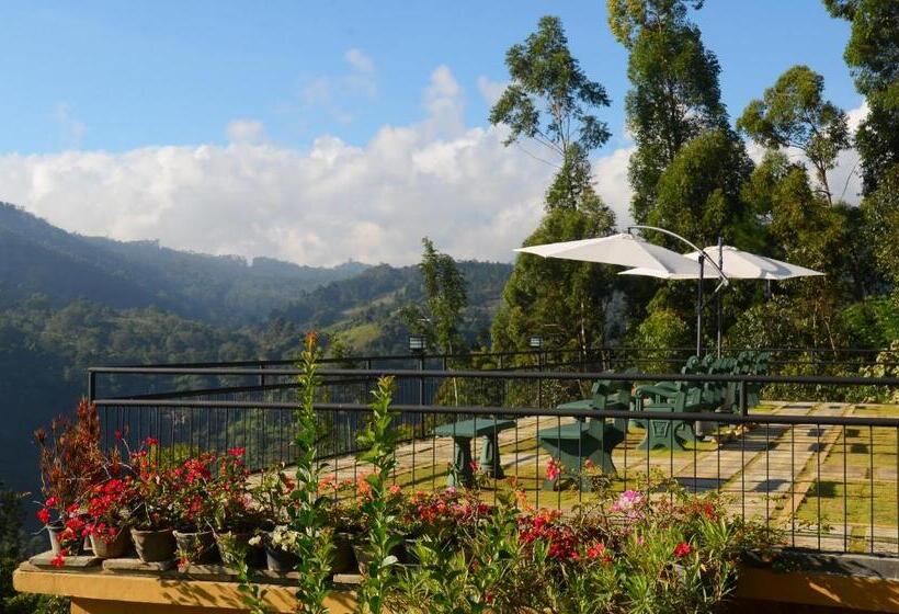 Bed & Breakfast Ella Gap Panorama