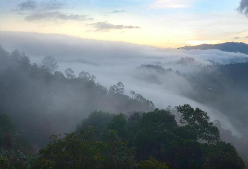 Bed & Breakfast Ella Gap Panorama