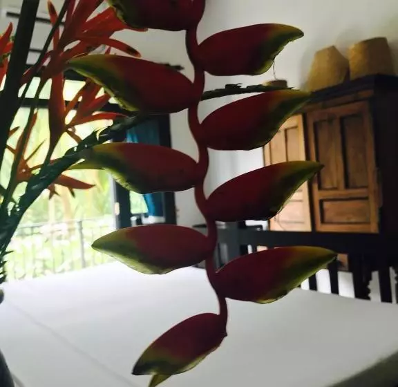 تختخواب و صبحانه Indika S Residence
