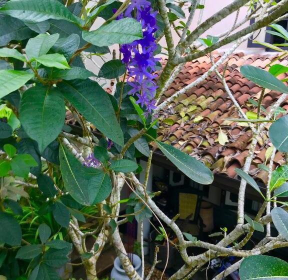 مبيت وإفطار Indika S Residence