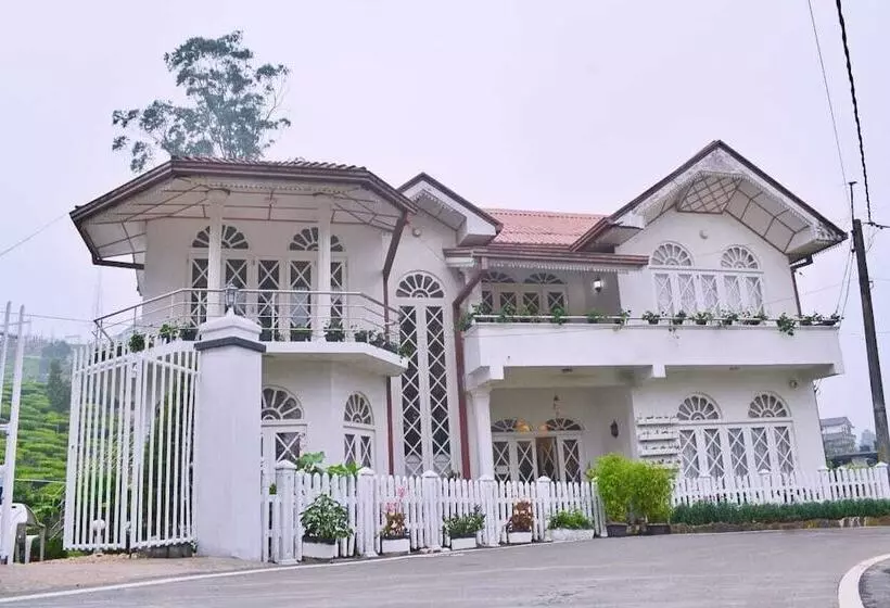 تختخواب و صبحانه Maples Holiday Resort
