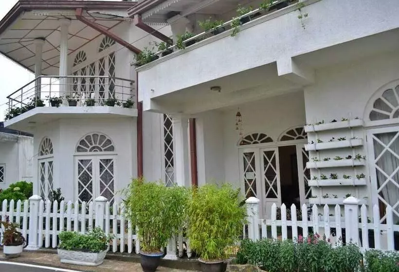 تختخواب و صبحانه Maples Holiday Resort