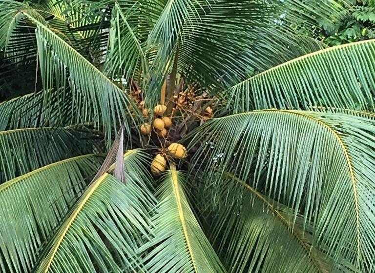 Bed and Breakfast Templeberg