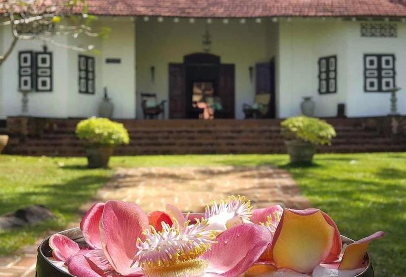 Bed and Breakfast Templeberg