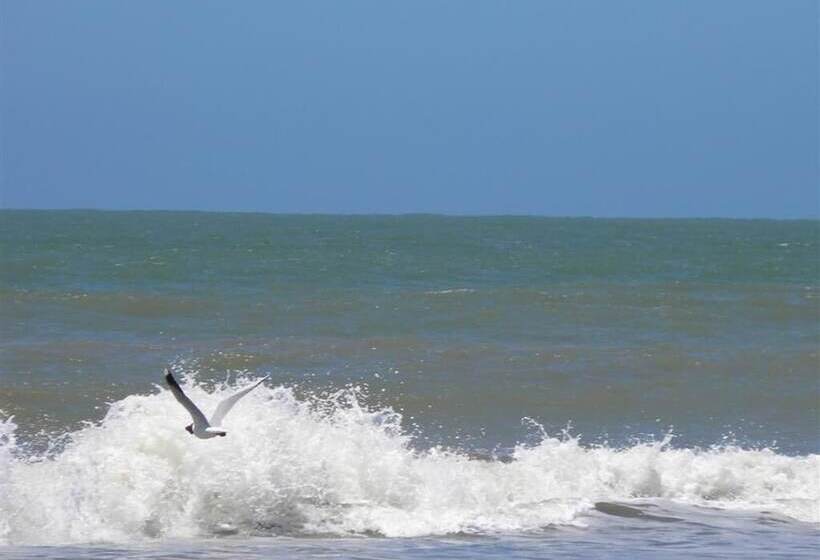 هتل Gran International