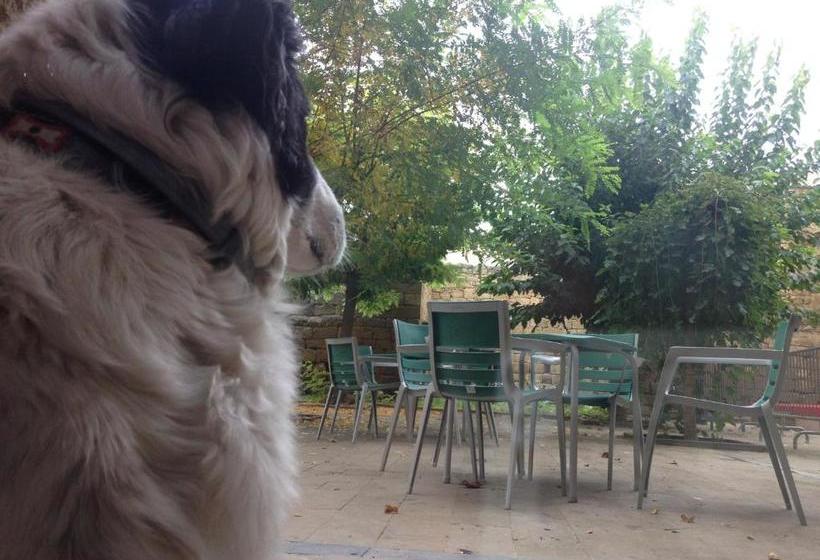 فندق Hospedería Sádaba