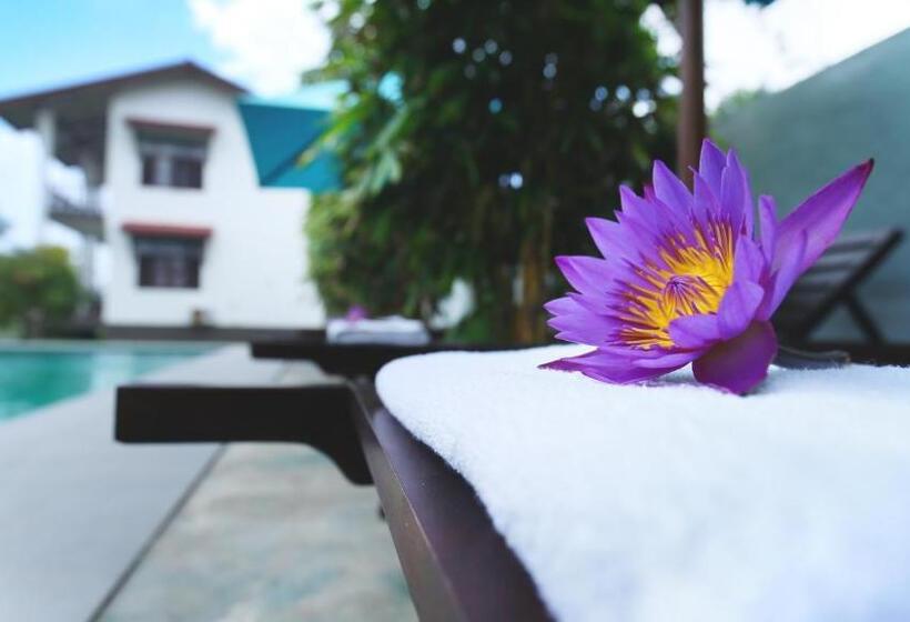 호텔 Kaminrich Cottage