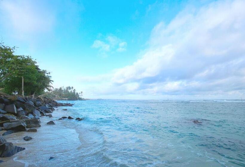 호텔 Kaminrich Cottage