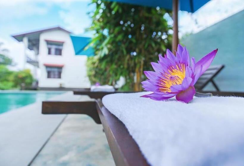 호텔 Kaminrich Cottage