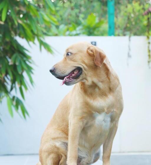 호텔 Kaminrich Cottage