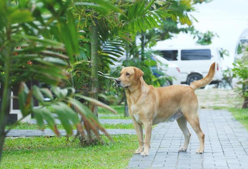 호텔 Kaminrich Cottage