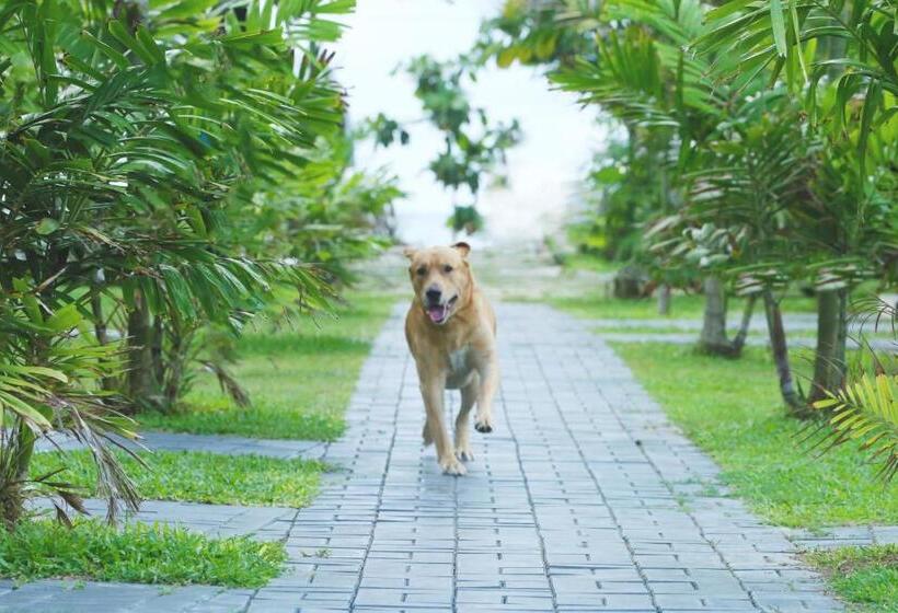 호텔 Kaminrich Cottage