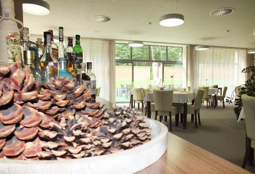 Hotel Lesni
