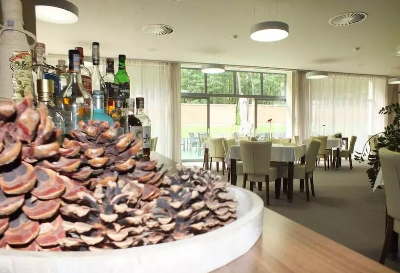 Hotel Lesni