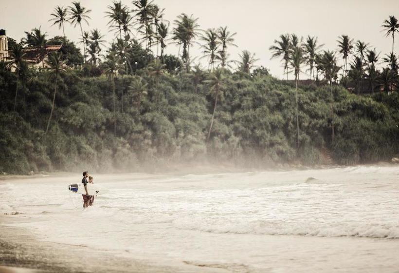 בית מלון כפרי Surf Lanka