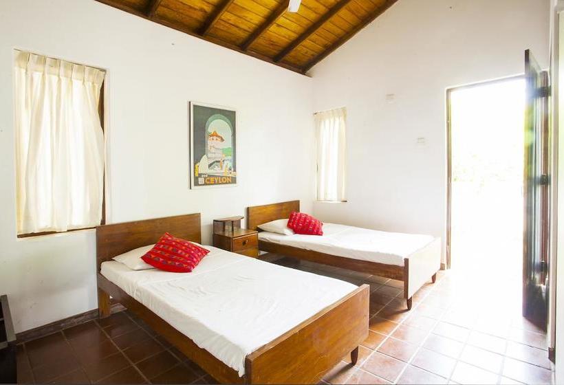 בית מלון כפרי Surf Lanka